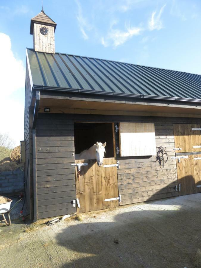 Bunkhouse - Letterfrack Farm 빌라 외부 사진